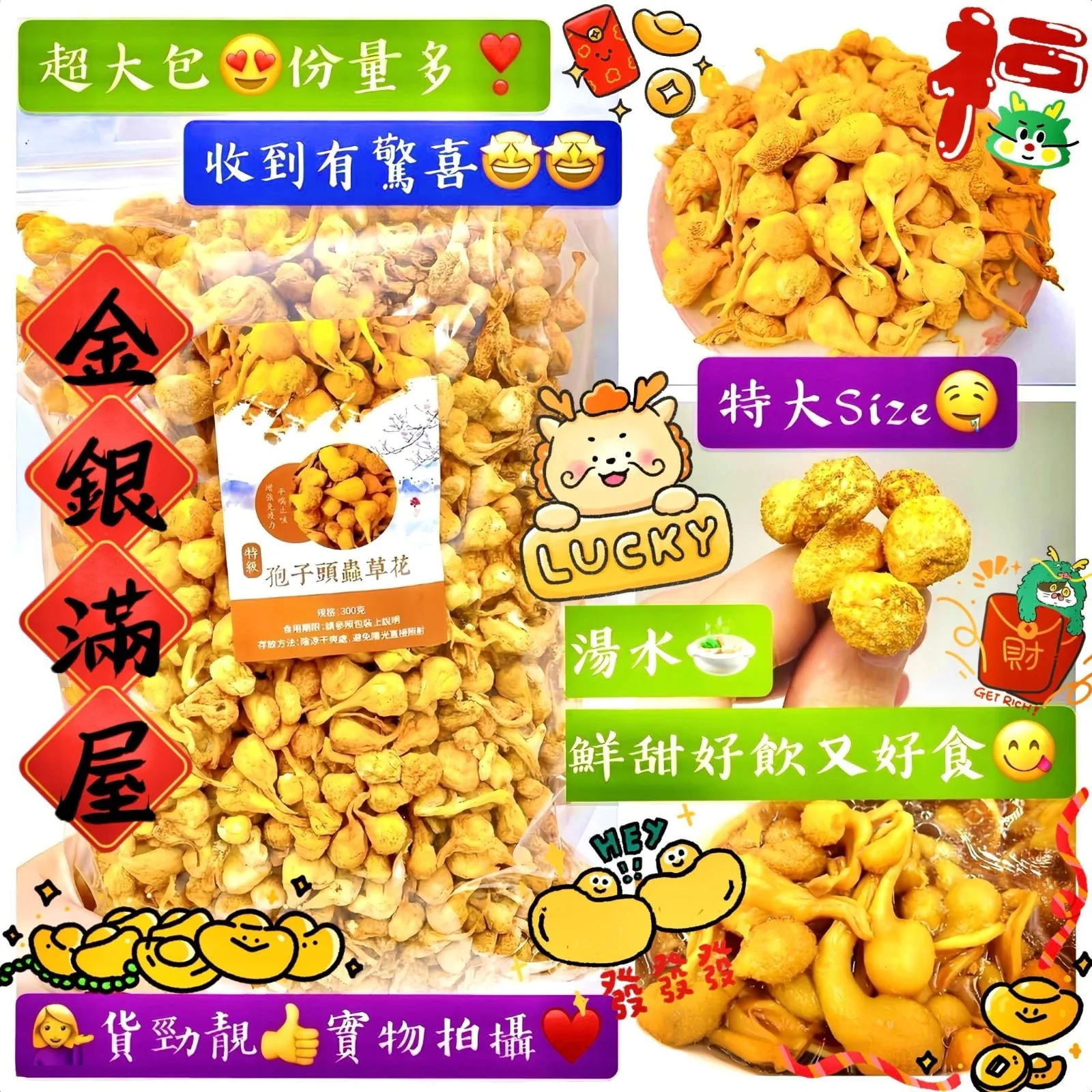 I89-300克特級靚貼大抱子頭蟲草花